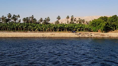 crops and farms on the banks of the nile