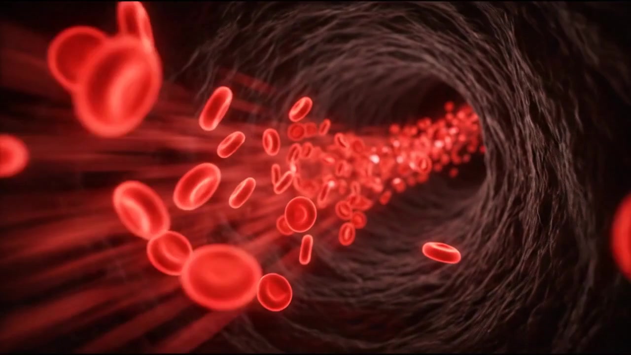 Scientific medical anatomy and biological research visualization