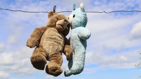two teddy bears hang on a rope after two teddy bears hang on a rope after washing