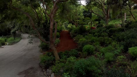 Low-fly-through-of-a-tree-covered-path-and-driveway-near-Malibu-horse-stables