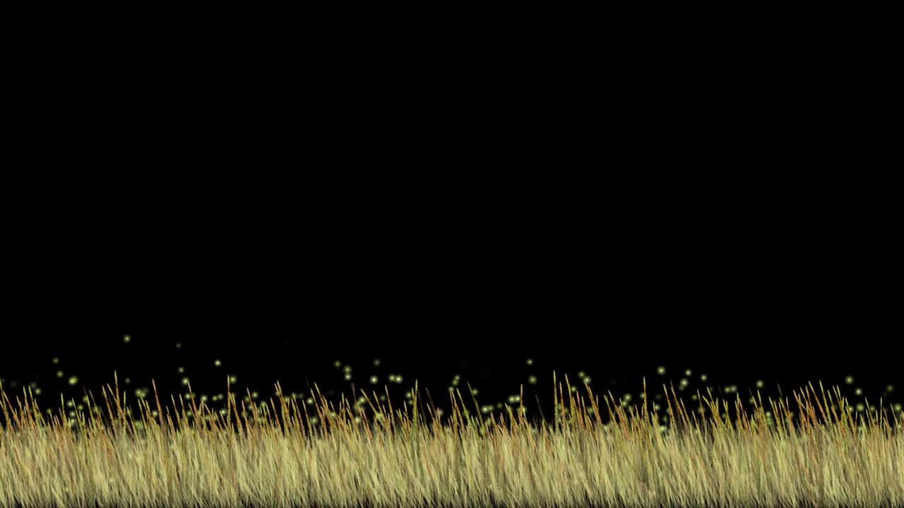 초원 위를 날아다니는 벌레 녹색 화면 모션 그래픽