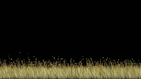 flying bugs over meadow green screen motion graphics