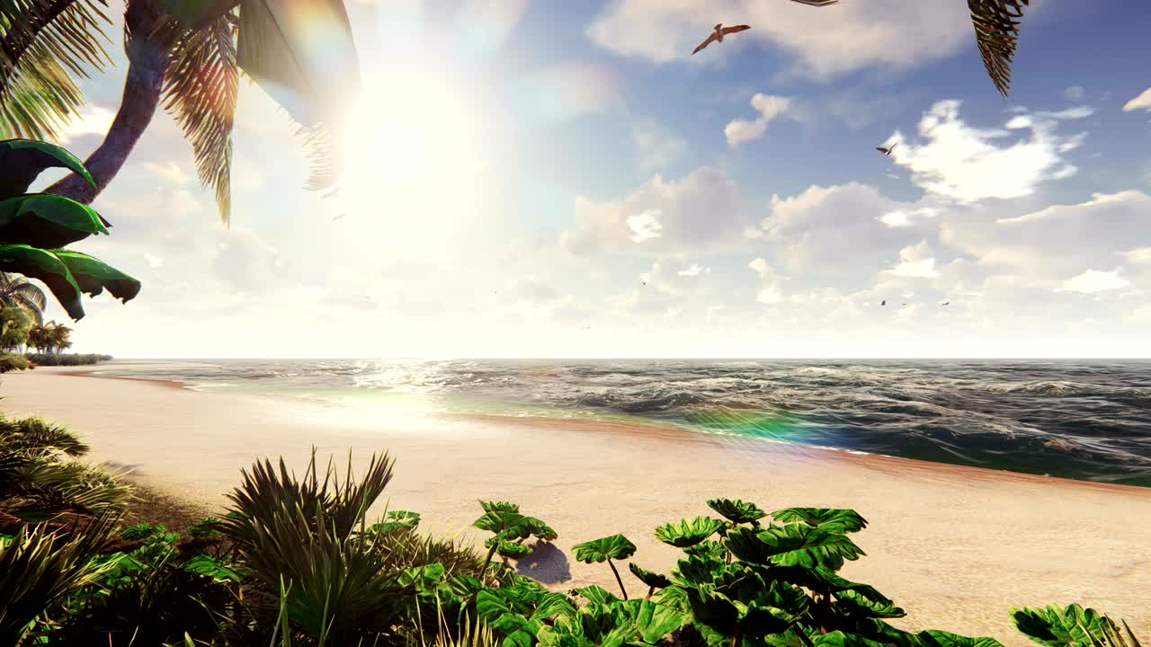 Branches of palm trees and tropical plants in the wind at sunrise. Beautiful summer loop background.