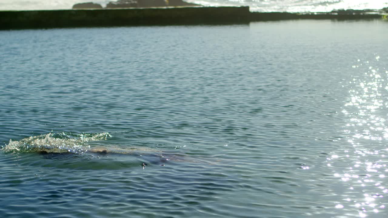 женщина играет в воде на пляже 4k