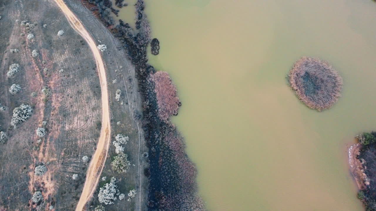 Aerial view showcases isolated road leading near water surface, blooming trees situated near the water's edge in Portugal