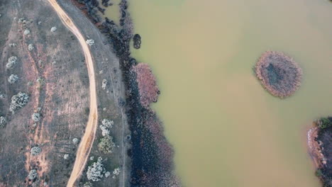 Aerial-view-showcases-isolated-road-leading-near-water-surface,-blooming-trees-situated-near-the-water's-edge-in-Portugal