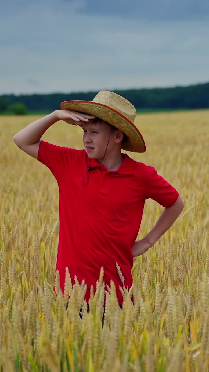 Little agronomist on a field. Boy in straw hat looks around on wheat growing in the field in summer. Teenager among agricultural land. Vertical video