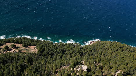 aerial view of rocky mallorcan coastline with verdant pines and azure sea