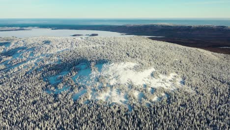 picos de montañas nevadas y bosques