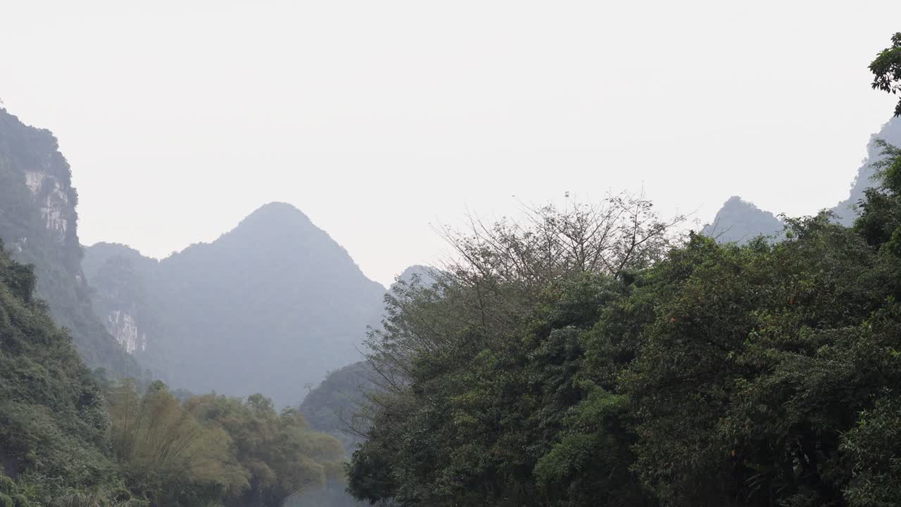 뒷면 에 산 들 이 있는 울창 한 초록색