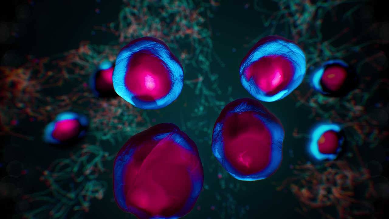 dark red and blue cancer or bacteria cell division