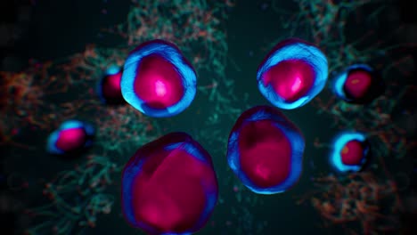 dark red and blue cancer or bacteria cell division