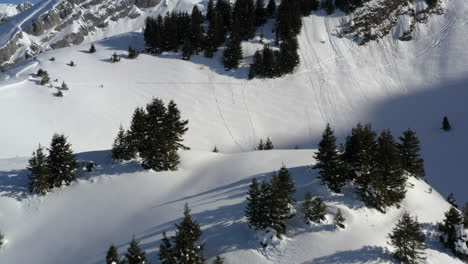 aerial view flying over snowy mountain hills with pine trees to reveal a ski lifts in the background