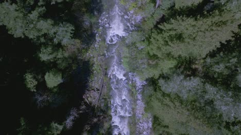 Erleben-Sie-Die-Atemberaubende-Schönheit-Der-Santa-Cruz-Mountains,-Während-Wir-über-Den-Majestätischen-Redwood-Wald-Entlang-Des-Ruhigen-San-Lorenzo-River-Schweben