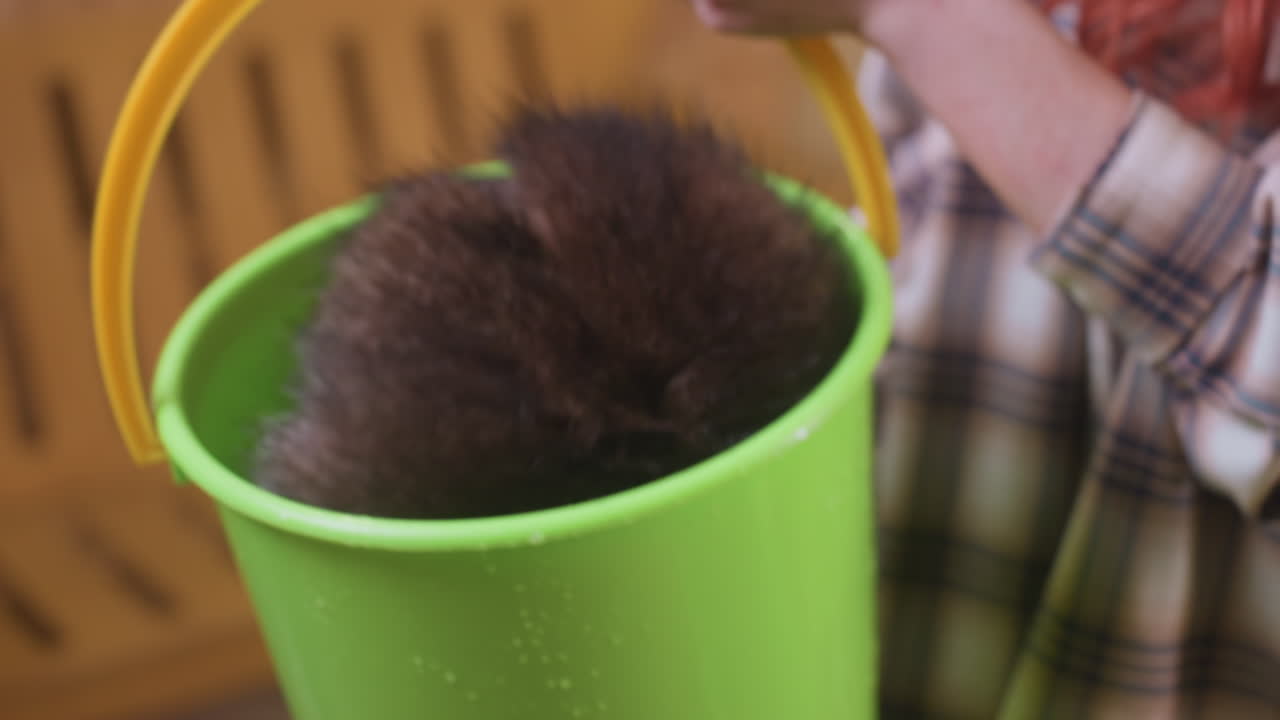 person placing raccoon in green bucket near wooden bench, plaid shirted caretaker gently guiding wet furry animal into bucket for cleaning and transport, indoor sanctuary vibe with soft lighting