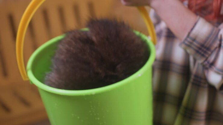 person placing raccoon in green bucket near wooden bench, plaid shirted caretaker gently guiding wet furry animal into bucket for cleaning and transport, indoor sanctuary vibe with soft lighting