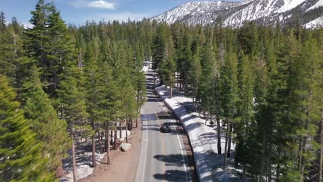 tracking shot following behind a car as it drives through a forest in a winter landscape