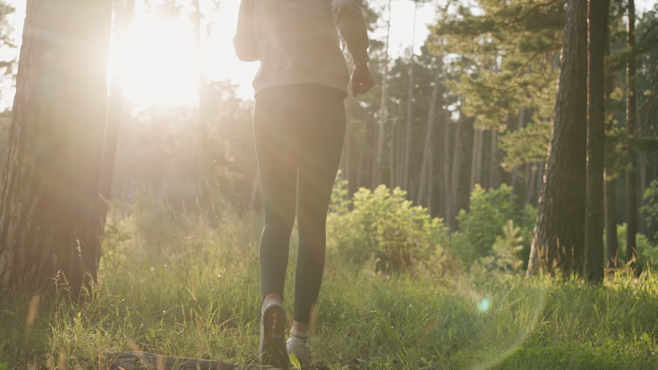 mulher faz corrida à noite na floresta. atleta descobre um novo lugar para a rotina de exercícios no ar fresco ao pôr do sol. exercícios de cardio na natureza para o bem-estar