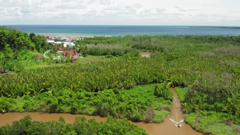 aerial crane shot of boat in village river in green indonesian jungle