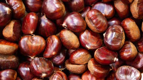 close-up of chestnuts