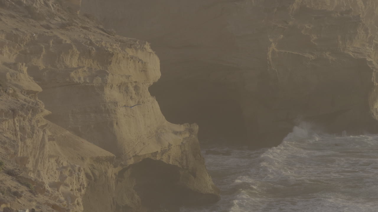 Coastal Cliffs with Caves and Waves at Sunrise/Sunset