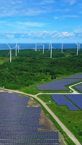wind turbines and solar panel park near the baltic sea, aerial vertical view