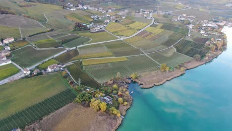 Drone-Aéreo-Sobre-Los-Viñedos-Sobre-El-Lago-Caldaro-En-Otoño-En-Tirol-Del-Sur