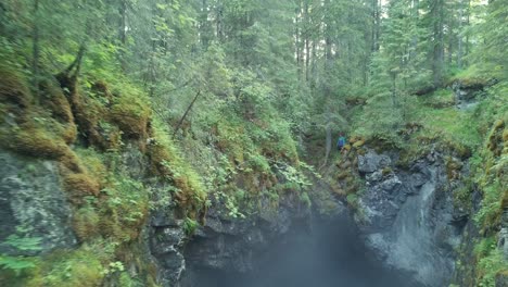 forest canyon with person