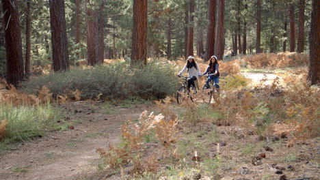 Lesbisches-Paar,-Das-In-Einem-Wald-Fahrrad-Fährt-Und-Händchen-Hält