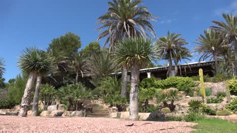 naturaleza y paisajes en la isla de ibiza