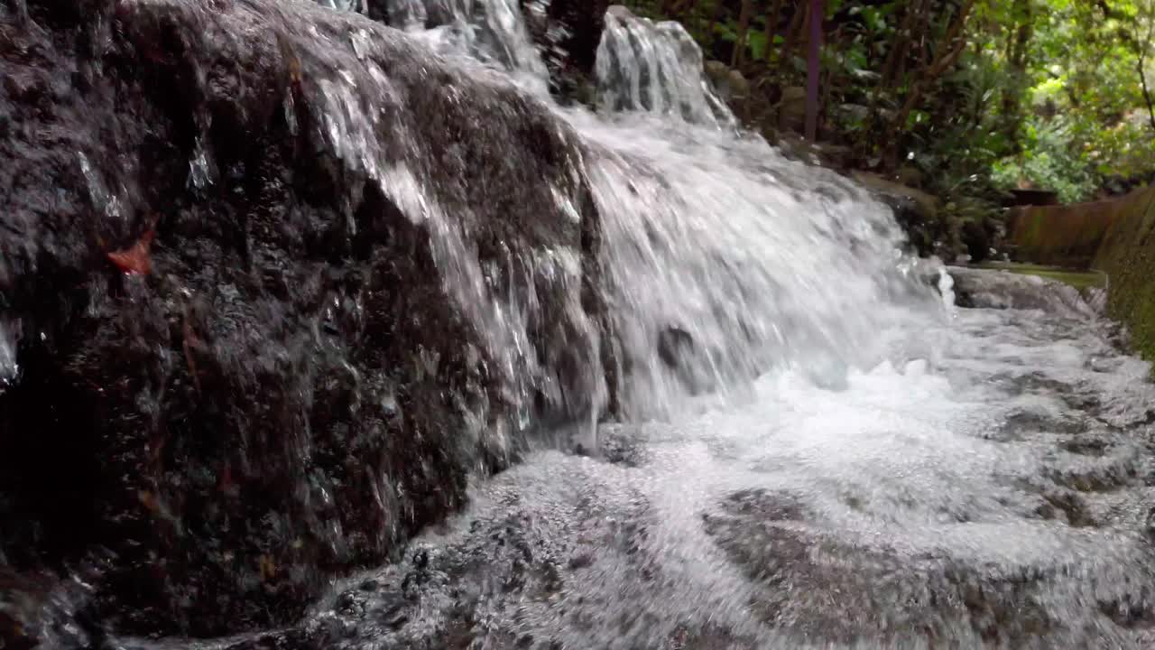 Powerful stream of water cascading over dark rocks in a narrow forest channel.