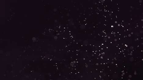vuelo de la piña en fondo negro en cámara lenta