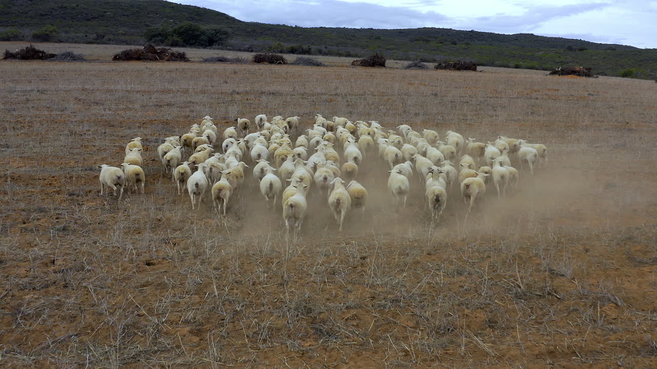 Better keep up or you'll get left behind