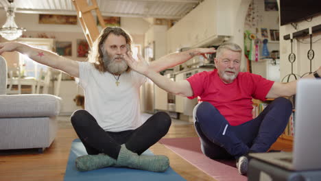 Two retired senior friends sitting down following mobility exercises from laptop