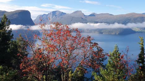 Norwegischer-Fjord-Im-Herbst