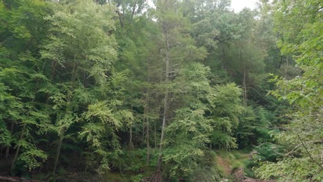 Wissahickon-Creek-flows-over-rocks,-stones,-trees-in-background