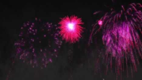 animation of pink fireworks exploding on black background