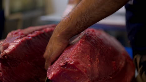 slow motion close up of a male chef slicing cutting in half a big piece of red meat from a fresh blue fin tuna