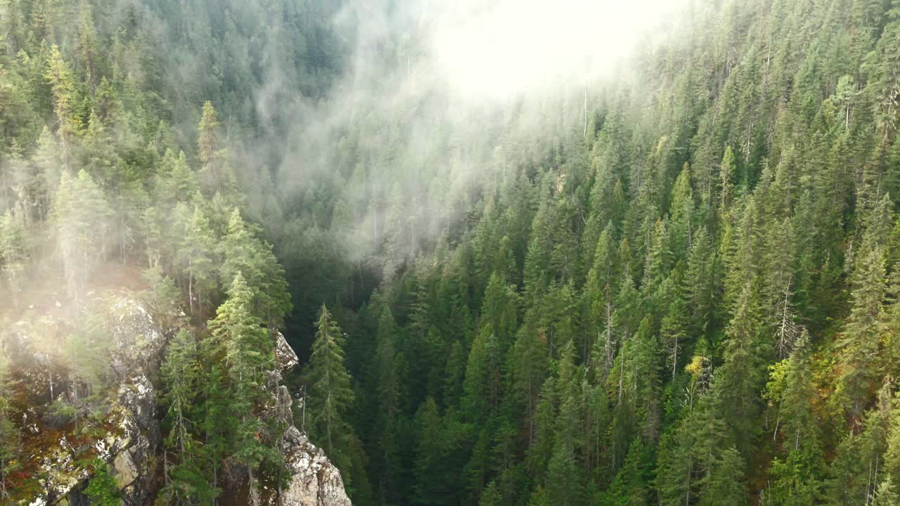 Panoramica aerea verso l'alto attraverso un canyon nebbioso con un fiume che scorre sotto