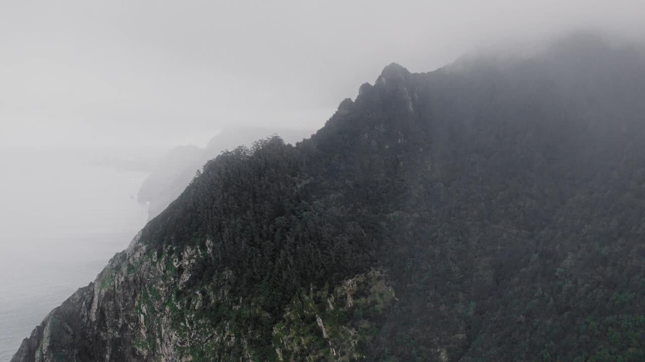 안개가 가득한 산 해안선