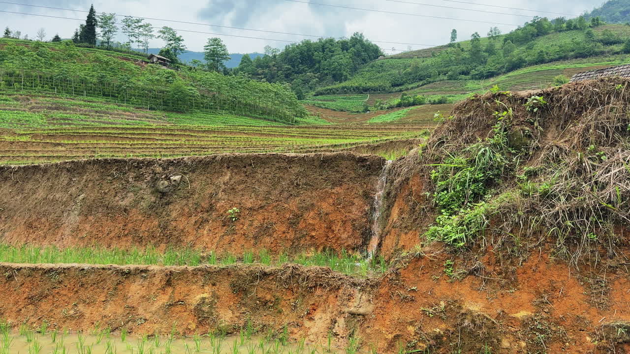 Lush-terraced rice fields in Tả Van, Sa Pa cascade down the mountainside under cloudy skies. A vivid glimpse into rural Vietnam's layered agricultural beauty.