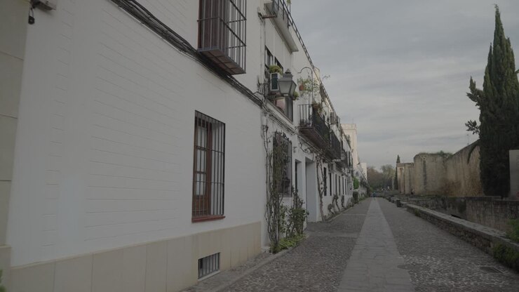 Street view of European architecture