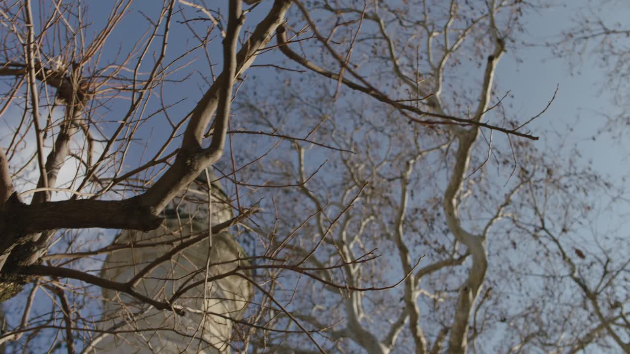 큰 나무와 돌로 된 모스크 미나