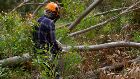 lumberjack with chainsaw cutting tree trunk 4k