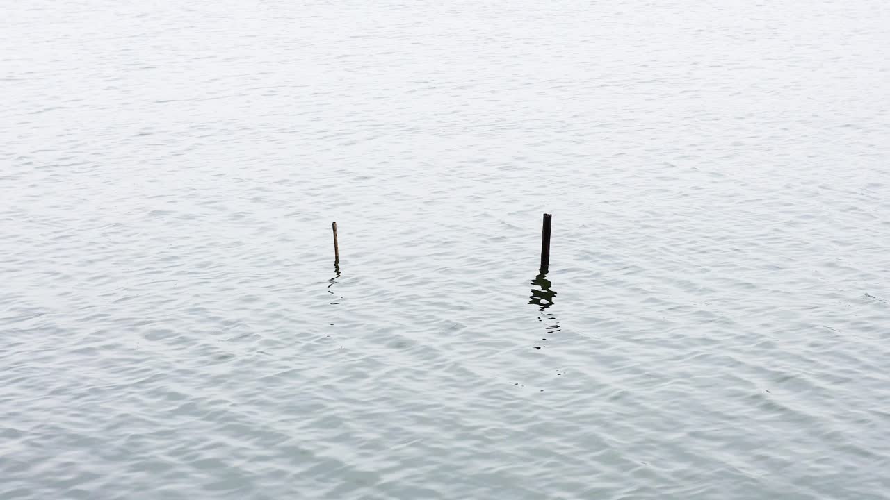 평온한 물에 두 개의 막대기, 부드러운 파동