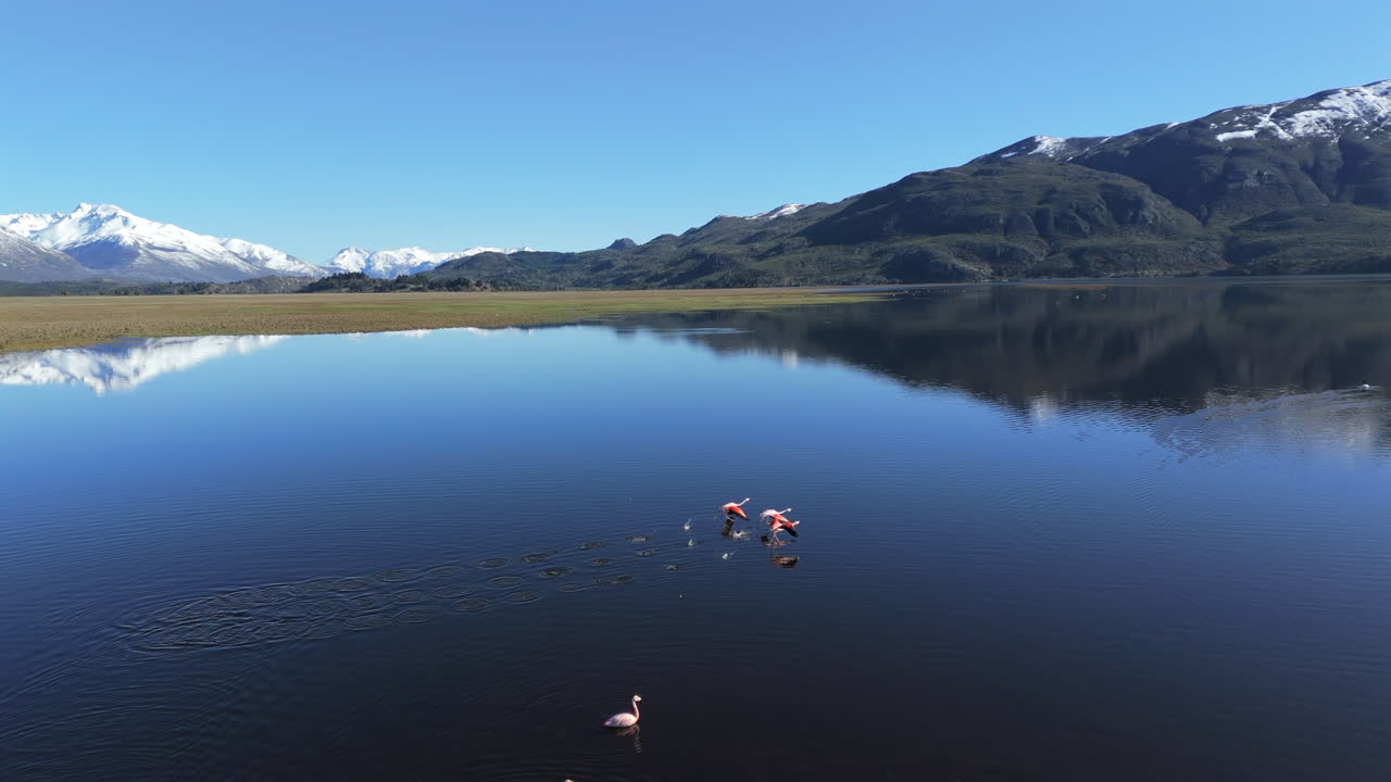 Amazing aerial movement about a tranquil lake with a snow-capped mountain and flamingos, Patagonia, Argentina.