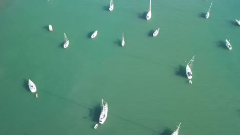 Veleros-En-El-Puerto-Caribeño-Islas-Vírgenes-Desde-El-Aire