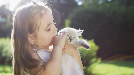 vista de cerca de una niña linda sentada en la hierba verde y acariciando a un lindo gatito blanco en el parque