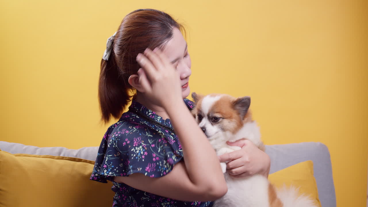 강아지 애완 동물을 가지고 노는 아시아 여성