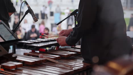 vibraphone performance at an outdoor concert